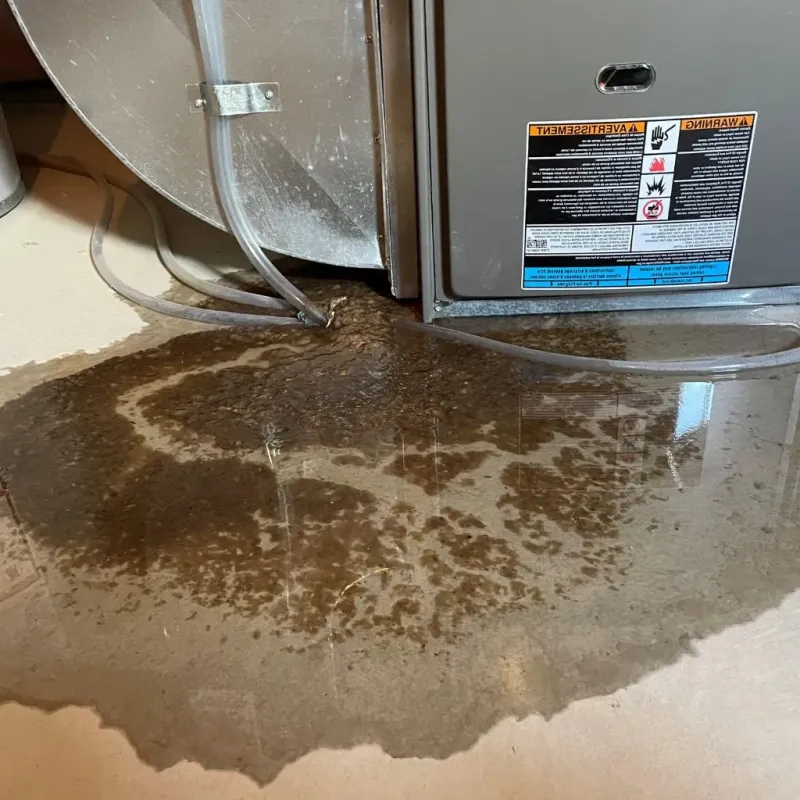 Pipe Burst and Leak Restoration in Los Ranchos de Albuquerque, NM